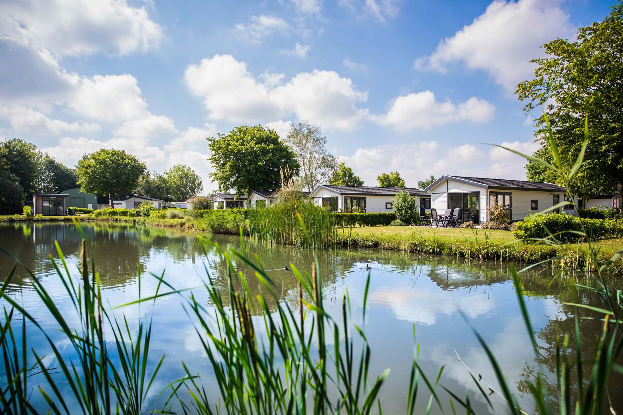 Recreatiepark het Esmeer - Holiday cottages near the water - 2